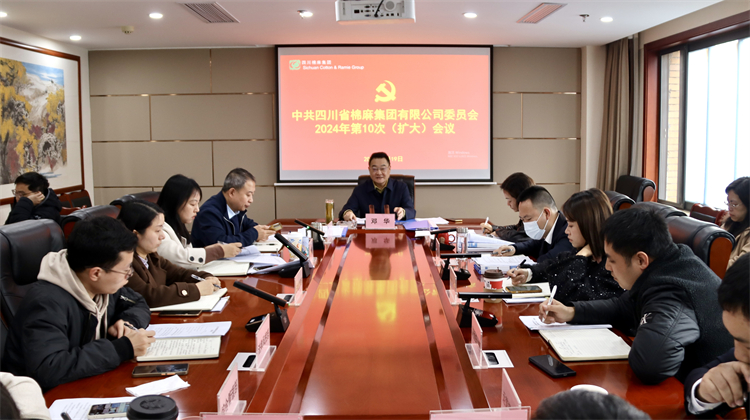 集团公司召开2024年第10次党委（扩大）会议